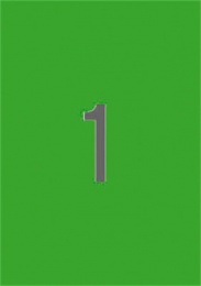 Etikett, 210x297 mm, színes, APLI, neon zöld, 20 etikett/csomag